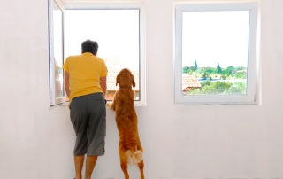 mirando por la ventana