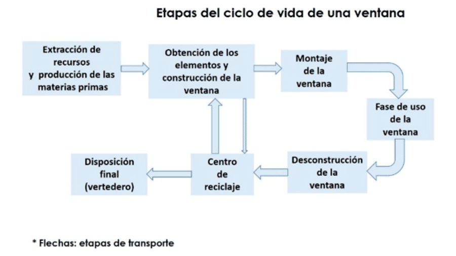 etapas ciclo vida ventana