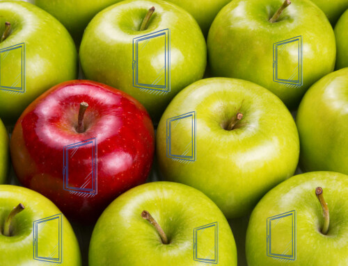 ¿Qué marca la diferencia en las ventanas de PVC?